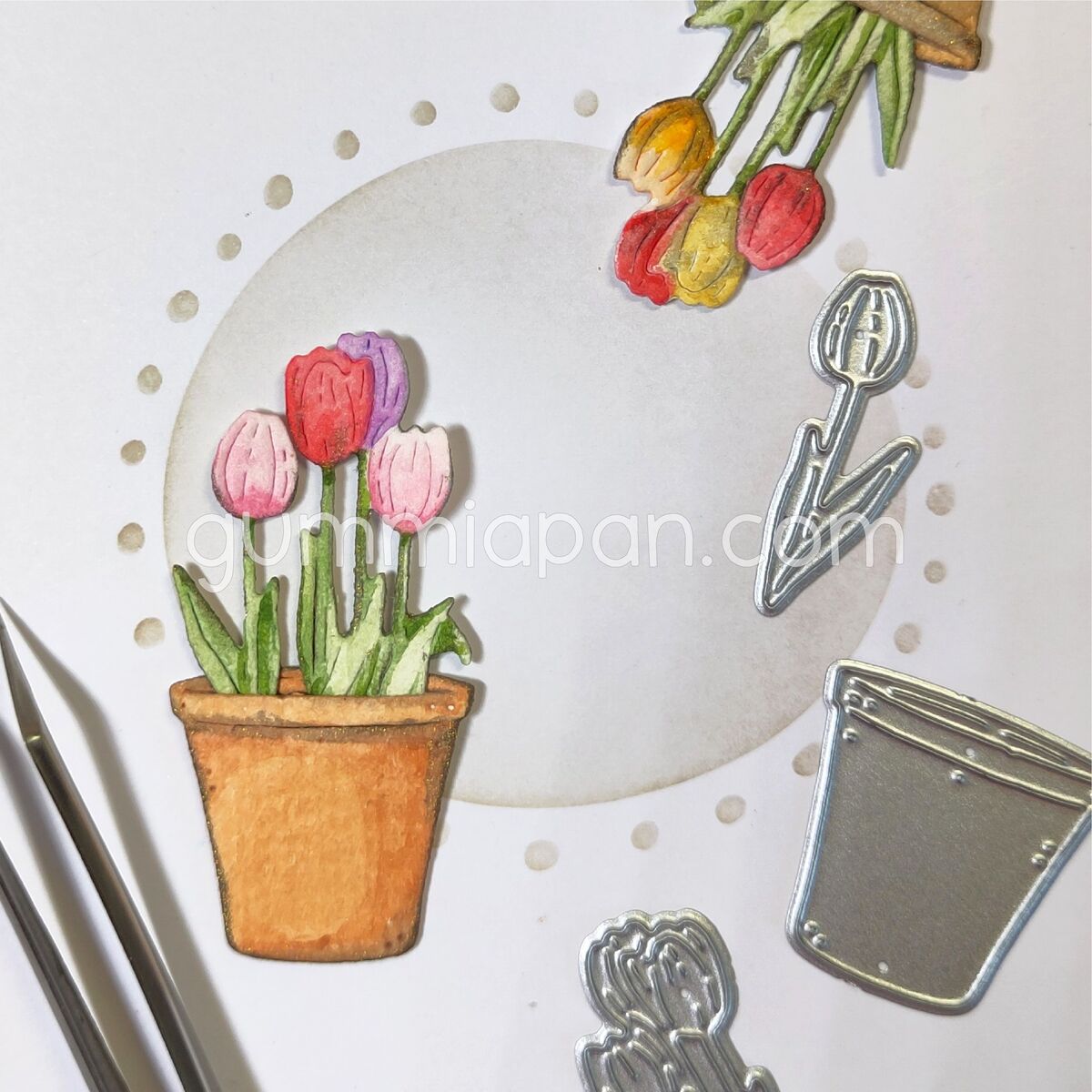 Stanze Tulips in a pot